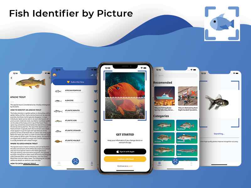 Fish Identifier by Picture